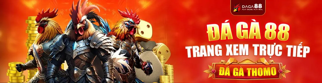 Sân đấu đá gà trực tuyến tại PK88 Login